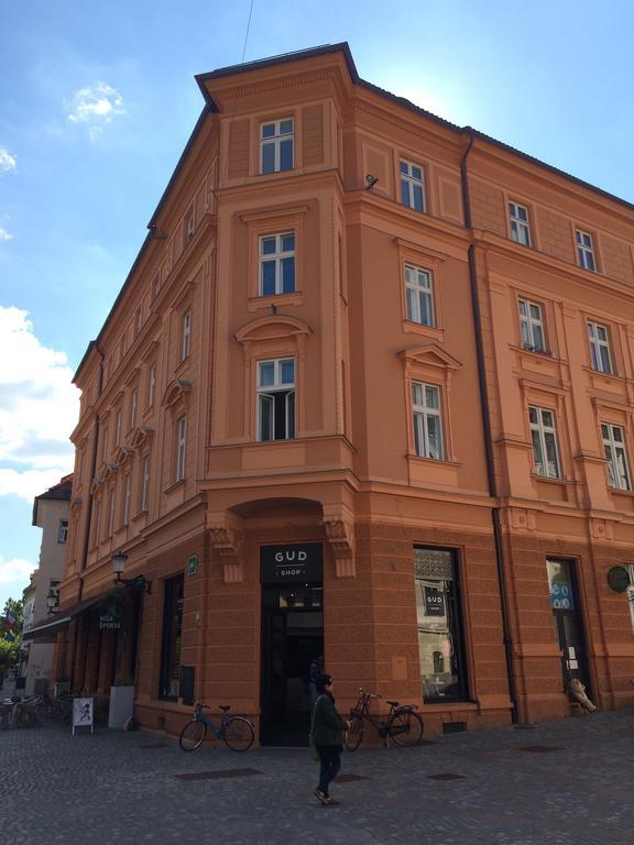 Apartment Loft Любляна Екстер'єр фото